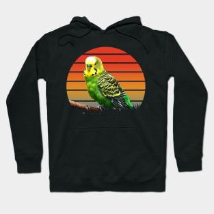 Feathered Flock: Budgies Take Flight on Dynamic T-Shirt Design Hoodie